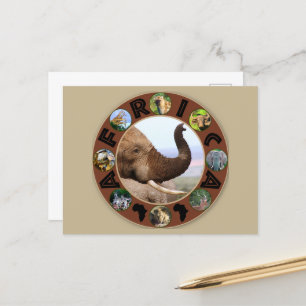 Carte Postale Arrondissement des éléphants du cercle de la faune