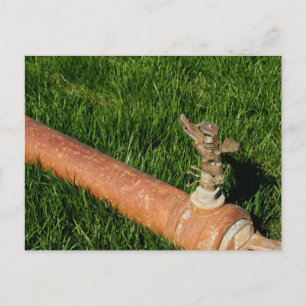 Carte Postale Arroseur