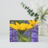 Carte Postale Arrowley Root and Lupine in Spring Bloom (Debout devant)