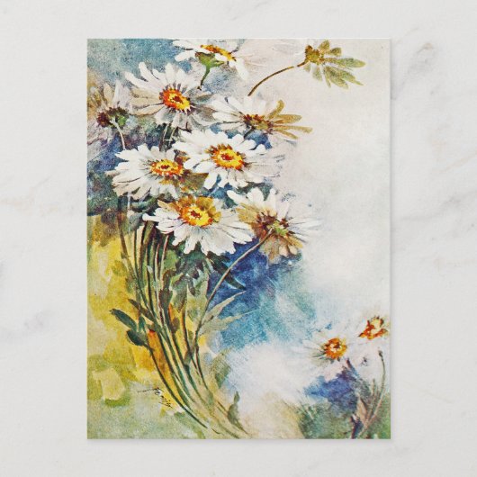 Carte Postale Art à l'aquarelle de marguerite vintage (Devant)