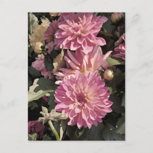 Carte Postale Art à motifs floraux roses de Renee Lavoie