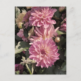 Carte Postale Art à motifs floraux roses de Renee Lavoie