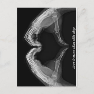 Carte Postale Art à rayons X