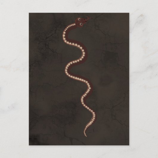 Carte Postale Art aborigène australien du serpent du désert (Devant)