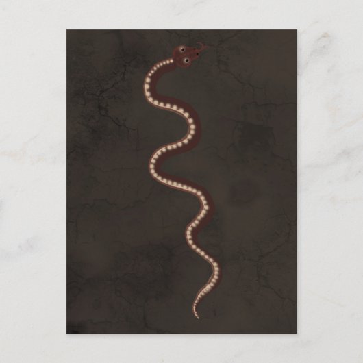 Carte Postale Art aborigène australien du serpent du désert (Devant)