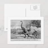 Carte postale art Anchisaurus (Devant / Derrière)