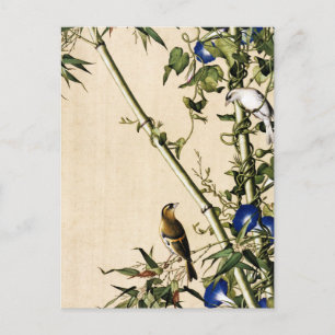 Carte Postale Art Bambou Vintage et Volubilis Bleu