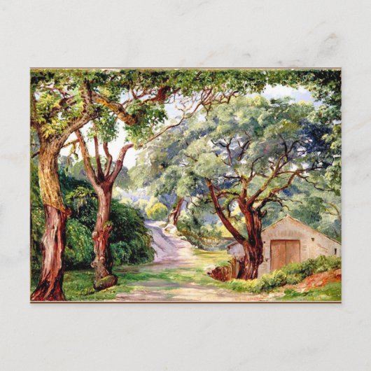 Carte Postale Art botanique : Cork Trees à Cintra près de Lisbon (Devant)