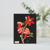 Carte postale-Art botanique-Mary Delany 10 (Debout devant)