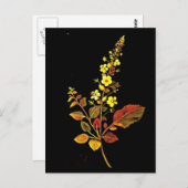 Carte postale-Art botanique-Mary Delany 8 (Devant / Derrière)