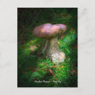 Carte Postale Art, Champignons des bois - Penny Bun, Porcino