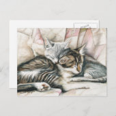 Carte postale Art Chat Chatons (Devant / Derrière)