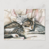 Carte postale Art Chat Chatons (Devant)