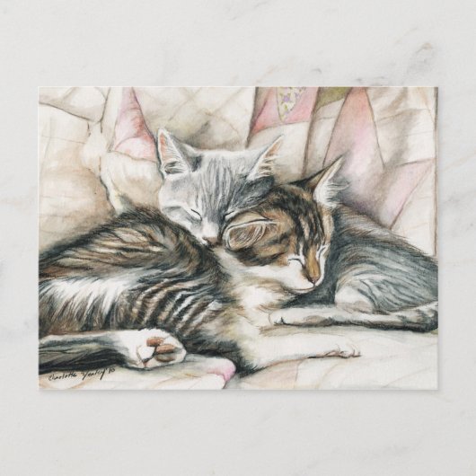 Carte postale Art Chat Chatons (Devant)