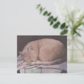 Carte postale Art Chat Kitty Sleeping (Debout devant)