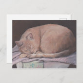 Carte postale Art Chat Kitty Sleeping (Devant / Derrière)