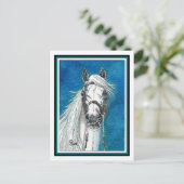Carte postale Art Cheval andalou (Debout devant)