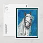 Carte postale Art Cheval andalou (Devant / Derrière)
