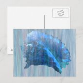 Carte Postale Art Coquillage bleu Conch (Devant / Derrière)