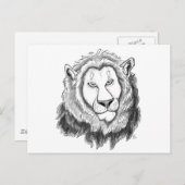 Carte postale Art crayon Lion (Devant / Derrière)