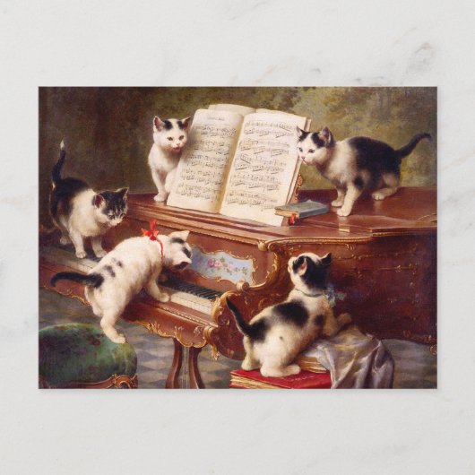 Carte Postale Art de chat : Le considérant du chaton (Devant)
