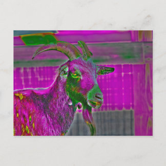 Carte Postale Art de chèvre