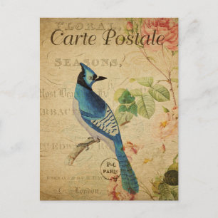 Carte Postale Art de collage floral d'oiseau vintage moderne 