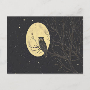 Carte Postale Art de hibou vintage sous un ciel au clair de lune