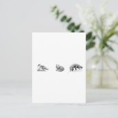 Carte Postale Art de la ligne Fox (Debout devant)