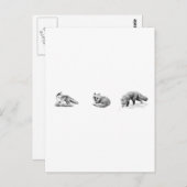 Carte Postale Art de la ligne Fox (Devant / Derrière)