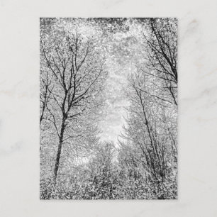 Carte Postale Art de la neige forestière