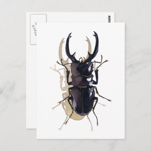 Carte Postale Art de l'aquarelle de l'insecte (Devant / Derrière)