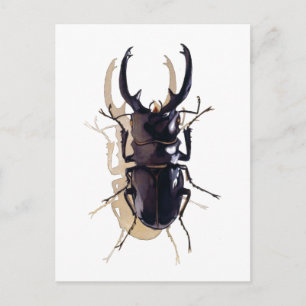 Carte Postale Art de l'aquarelle de l'insecte