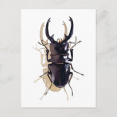 Carte Postale Art de l'aquarelle de l'insecte (Devant)