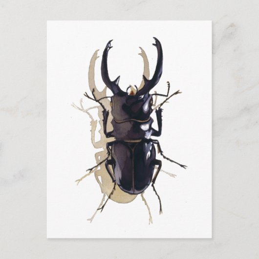 Carte Postale Art de l'aquarelle de l'insecte (Devant)