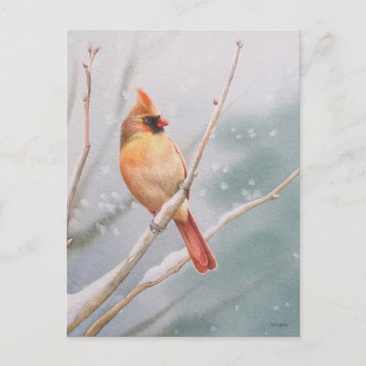Carte Postale Art de l'aquarelle des oiseaux cardinaux du Nord (Devant)