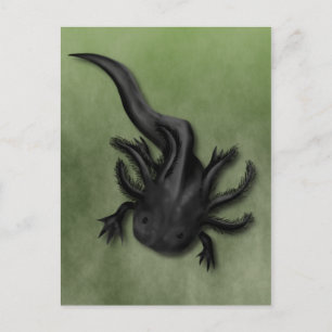 Carte Postale Art de l'Axolotl Melanoid Noir