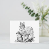 Carte Postale Art de ligne Bobcat (Debout devant)
