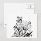 Carte Postale Art de ligne Bobcat (Devant / Derrière)