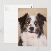 Carte Postale Art de peinture à l'huile de chien berger australi (Devant / Derrière)