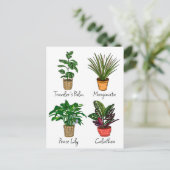 Carte Postale Art de plantes de maison dessinées à la main   (Debout devant)