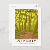 Carte Postale Art de voyage dans la forêt pluviale de Hoh au par (Devant / Derrière)