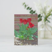 Carte Postale Art des Tulipes rouges (Debout devant)