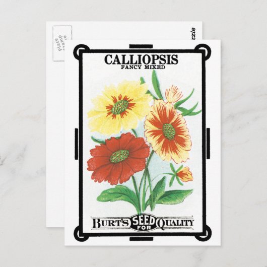 Carte Postale Art d'étiquette de pochette de graines anciennes,  (Devant / Derrière)