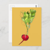 Carte Postale Art d'illustration d'aquarelle végétale Radical (Devant / Derrière)