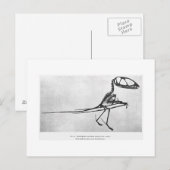 Carte postale art Dimorphodon macronyx (Devant / Derrière)