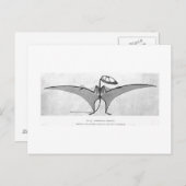 Carte postale art Dimorphodon macronyx (Devant / Derrière)