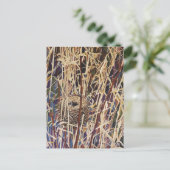 Carte Postale Art du nid de la faune (Debout devant)