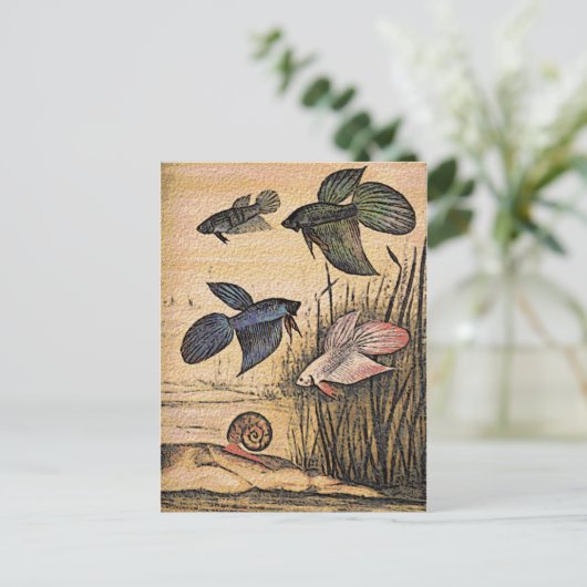 Carte Postale Art du poisson (Debout devant)