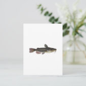 Carte Postale Art du poisson-chat Black Bullhead (Debout devant)